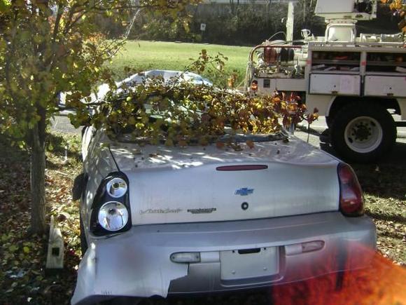 Chevy Monte Carlo truly can take a hard hit!
