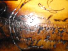 you cant really tell in the picture but it says "Leading the Blind- Open your eyes" Leading the Blind is my band name.