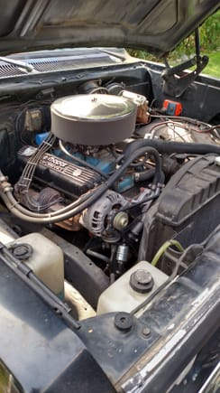 360 MOPAR power in the old 1977 Dodge D150 Warlock!!!!