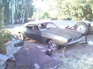 the day i got the pink!