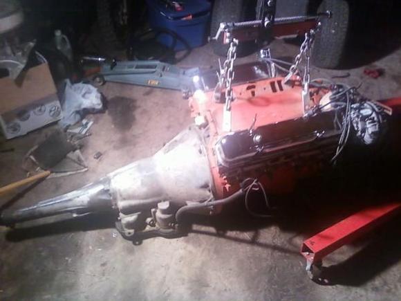 The beast the night before she went in.