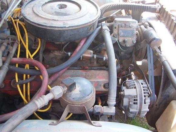 new belts, and a "custom" fuel line (haha),