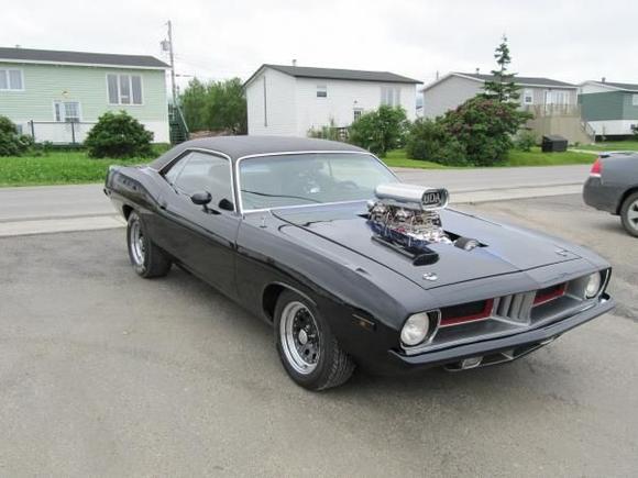 Out for a drive Rocky Harbour Newfoundland