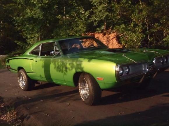 Superbeest 
Snakeskin green