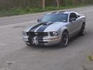 My Mustang