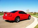 Stang