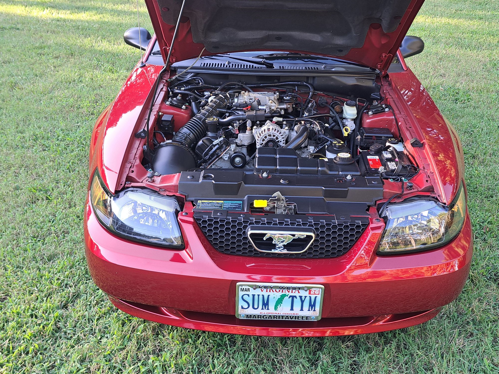 2004 Ford Mustang - 2004 Mustang GT Premium Convertible - Used - VIN 1FAFP45X54F102003 - 20,000 Miles - 8 cyl - 2WD - Manual - Convertible - Other - Exmore, VA 23350, United States