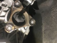 I wanted to include some pictures...