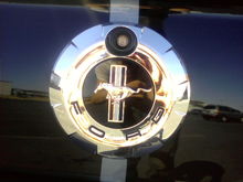 Rear Mustang Emblem