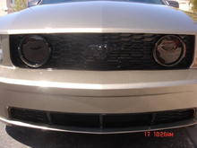 Painted front grille and lower valance