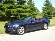 Mustang 20090831 (8)