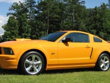 Garage - 2008 Mustang GT