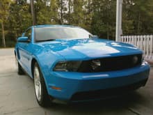 New Mustang1