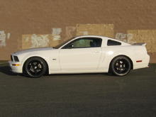 Mustang 02.08.10 004