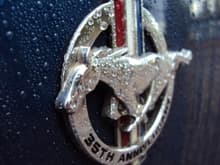35th Anniversary Badge
