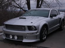 New Mustang Left side