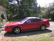 2004 Mustang convertible anniversary edition