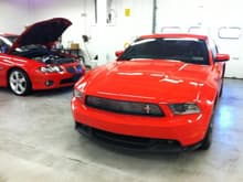 My stang