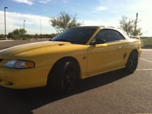 Mustang 009