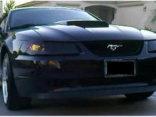 04 Mustang 6 cyl.