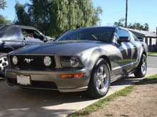 05 Mustang 3