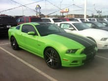 My new car, had stripes put on at dealer ship and rims.