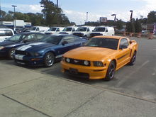trading my GO GT/CS for the GT 500.....I miss that car :(