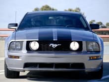 2006 Mustang Custom2