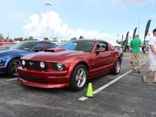 Mustang Week 2013