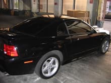 2001 Mustang GT 006