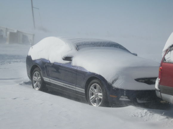 Snow covered Mustang