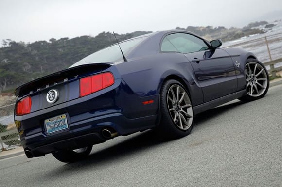 2010 Mustang Supersnake with a little photoshop work
