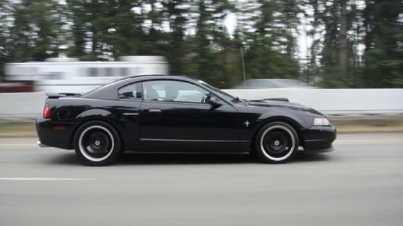 On the freeway...headin' home from 2010 Annual Mustangs Northwest Roundup in Bellevue, Washington   
Jabbers pic