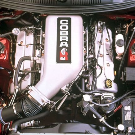 2000 cobra r mustang engine