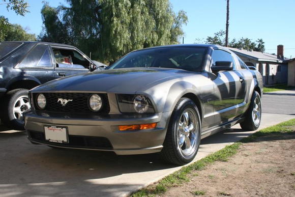 05 Mustang 3