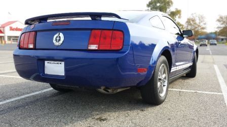 Angel Blue backside
