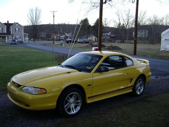 Mustang (5)
