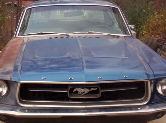 My 1967 Mustang