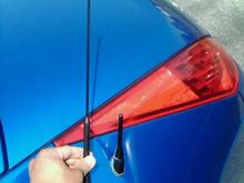 Perrin Shorty Antenna