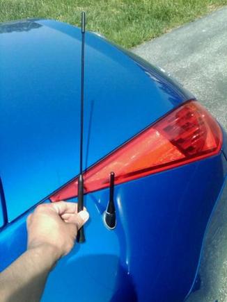 Perrin Shorty Antenna