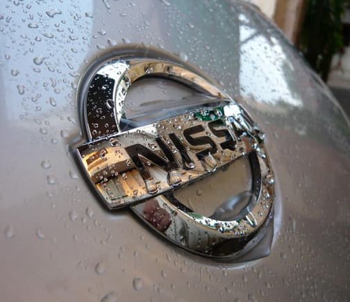 Nissan logo (wet)