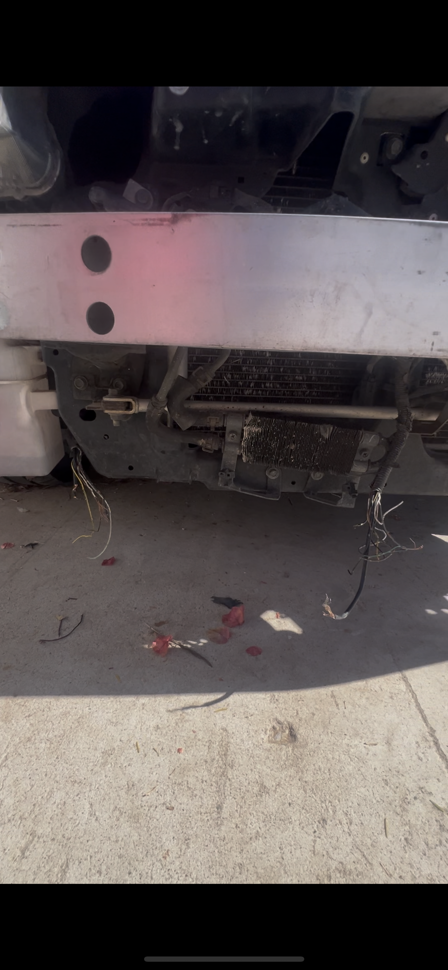 Wire harness bitten off 