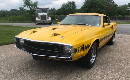 1969 Shelby Mustang GT350, Hertz Edition