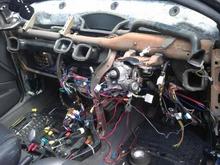 stripping the puma's wiring