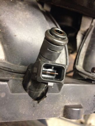 Standard one fits in nicely