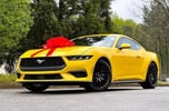 2024 Ford Mustang  for sale $34,900 