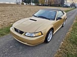 2000 Ford Mustang  for sale $22,895 