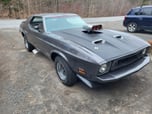 1973 ford mustang  