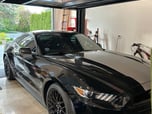 2016 Ford Mustang  for sale $34,999 