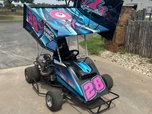 250 Outlaw Go Kart  for sale $6,500 